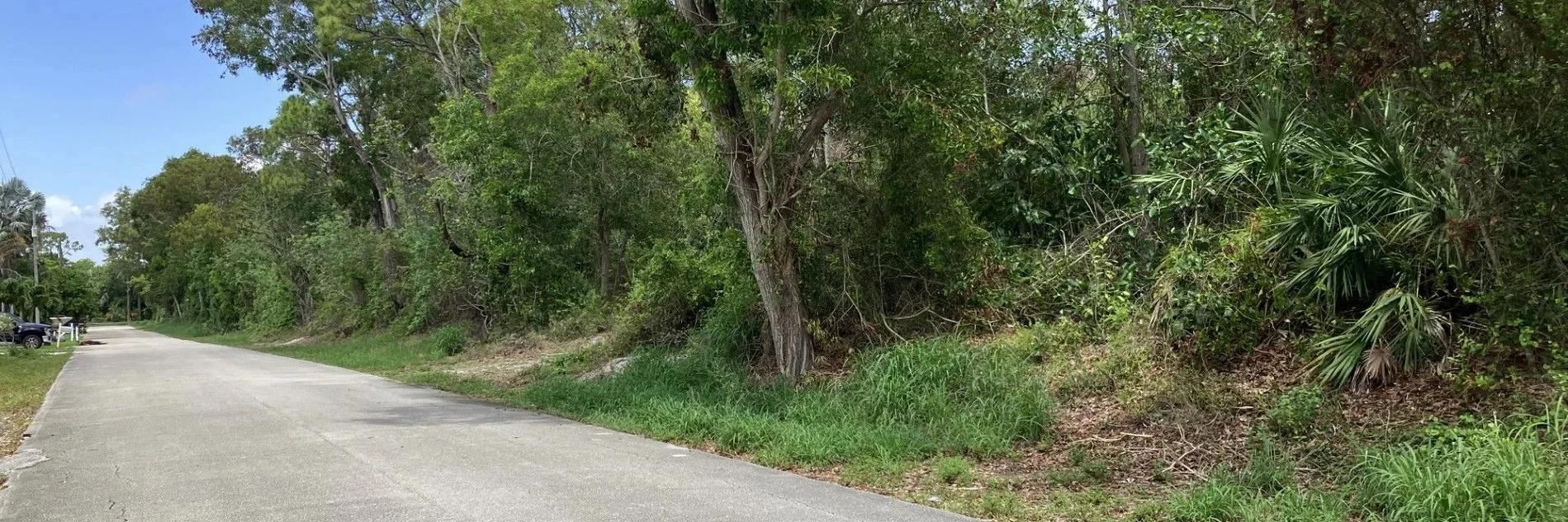 view of Nickels Forest in Boynton Beach, Florida—15 acres of preserved hardwood hammock surrounded by residential neighborhoods, showcasing South Florida’s commitment to green space conservation and sustainable development.